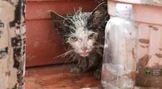 Последствия селя в Алматы: 55 человек размещены в гостиницах