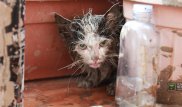 Последствия селя в Алматы: 55 человек размещены в гостиницах