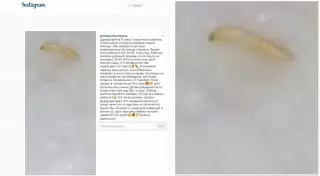 Червяка нашли в каше в детской больнице Алматы