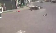 Алматинский байкер запечатлел свой эпичный "полет" после столкновения с авто