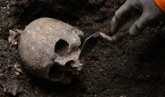 Во Франции нашли самые древние в Европе останки человека