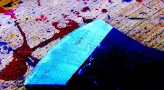 Пенсионер зарубил топором жену и вспорол себе живот в Актобе