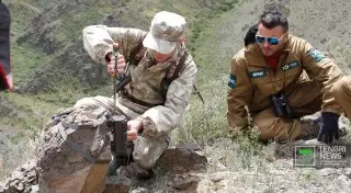 Специальные ошейники наденут на снежных барсов в Казахстане