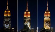 Вымирающих животных показали на небоскребе в США