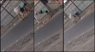 Двое мужчин задержаны после видео с жестоким избиением девушки в ЮКО