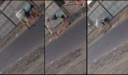 Двое мужчин задержаны после видео с жестоким избиением девушки в ЮКО