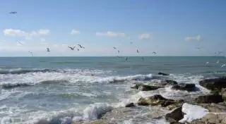 Актау готовится к празднованию Дня Каспия