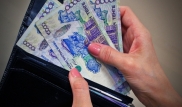 В ЕНПФ не ожидают перехода бизнесменов на "серую зарплату" после пенсионной реформы