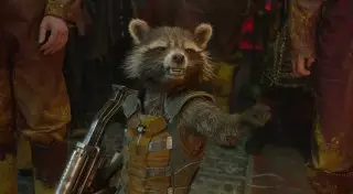 Украинские саперы научат енотов искать мины