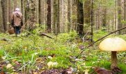 Потерявшегося в Восточном Казахстане мужчину нашли спустя 4 дня
