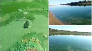 Жители Атырауской области напуганы позеленевшей водой в Урале