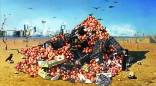 80 тонн пищевой продукции уничтожили в Астане в 2014 году