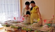 В Алматы на свет появились четверняшки