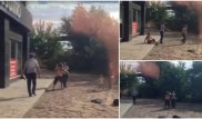 Полицейского могут привлечь к ответственности за бездействие во время драки женщин