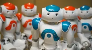 Роботов отправили в школу вместе с учениками в Австралии