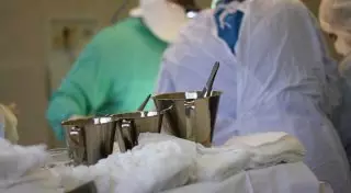 10-летней казахстанке пересадили сердце индийского мальчика