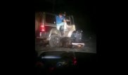 Напавший на живодеров медведь стал героем российских СМИ