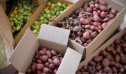 Жителей регионов Казахстана просят массово не скупать продукты