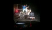 Пострадавшему от издевательств живодеров медведю на Курилах окажут помощь