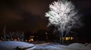 Депутат предлагает вернуть "северные надбавки" для предпринимателей РК