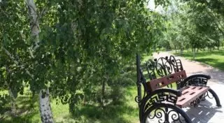 Парк за миллион долларов построят в Астане