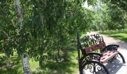 Парк за миллион долларов построят в Астане