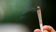 Базу данных новых видов наркотиков предлагает создать Казахстан в рамках ШОС