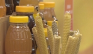 На фестиваль меда в Петропавловске привезли 6 тонн продукции