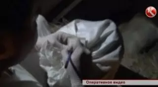 Замаскировать марихуану пытались мангистауские дальнобойщики