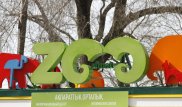 Краснокнижные сайгаки появились в зоопарке Алматы