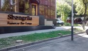 Владельцев ресторана в Алматы могут оштрафовать на 100 тысяч тенге за вырубку деревьев