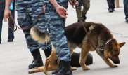В Караганде саперы вместо бомбы нашли чемодан с книгами