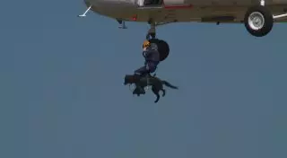 Сейсмотренировка с участием "летающей" собаки прошла в Алматы