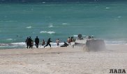 Четверо военнослужащих утонули во время учений в Актау