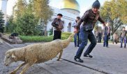 Главный муфтий Казахстана не советует делать селфи с животными на Курбан-айт