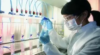 Женщина оконфузилась после экспертизы на установление отцовства в Алматы