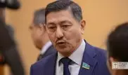 В Мажилисе нашли замену Дариге Назарбаевой