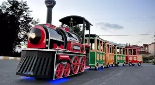 МВД начало расследование по факту наезда детского паровоза на ребенка в Алматы