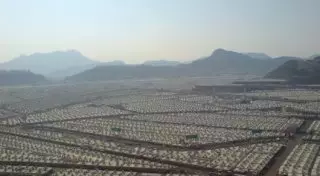 План проведения хаджа изменится после трагедии возле Мекки