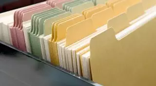 Данные о насильниках и педофилах из СНГ Казахстан начнет получать с 2016 года