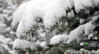 В горах Алматы пошел первый снег