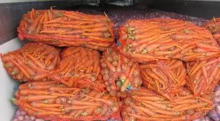 Полицейские открыли огонь по КамАЗу с морковкой в Акмолинской области