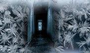 Смерть оставленных без присмотра новорожденных близнецов в ВКО расследует полиция