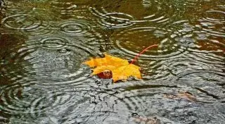 Дожди ожидаются в Казахстане в ближайшие дни