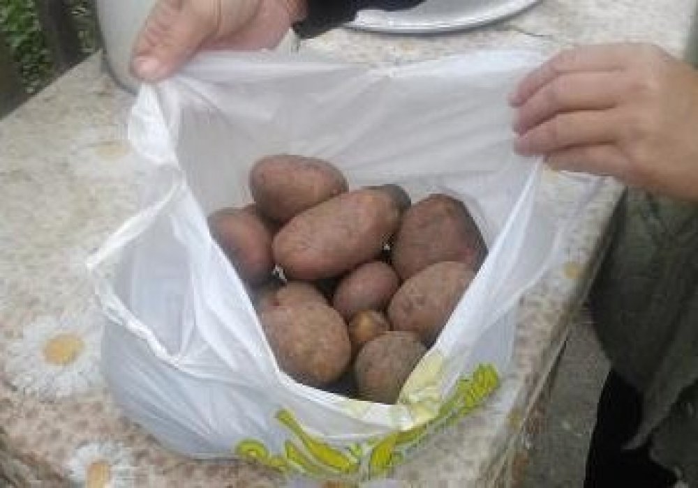 В качестве подарка Наталья Ванчугова получила несколько килограммов картофеля. Фото с сайта alau.kz