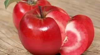 Новый фрукт на основе казахстанских яблок вывели в США