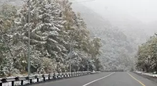 Мокрый снег ожидается в нескольких областях Казахстана