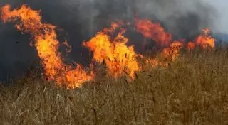 Жители Астраханской области жалуются на пожары в Казахстане