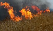 Жители Астраханской области жалуются на пожары в Казахстане