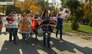 Отказаться от меховых шуб и кожаных курток призвали алматинцы